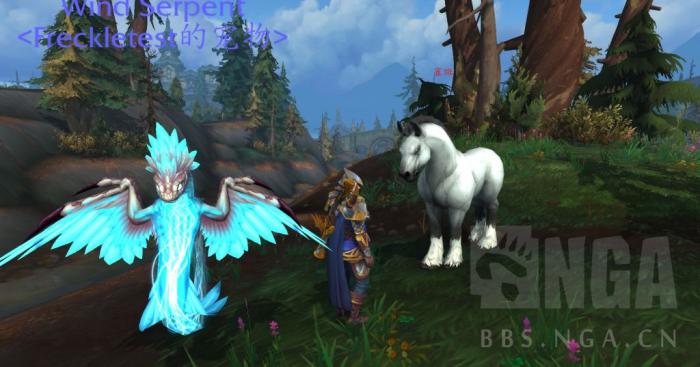 《魔兽世界》雀斑介绍1