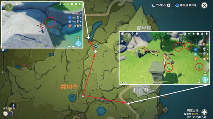 原神小灯草收集路线3