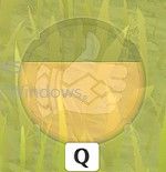 原神五郎装备搭配推荐21