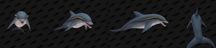 《魔兽世界》收藏向趣味物品挖掘7