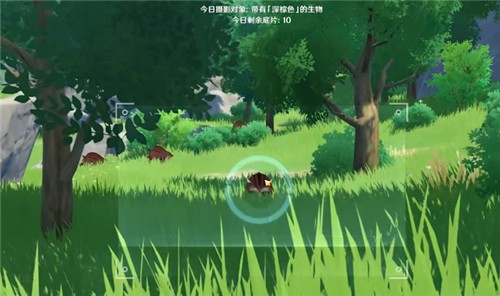 《原神》深棕色照片在哪拍2