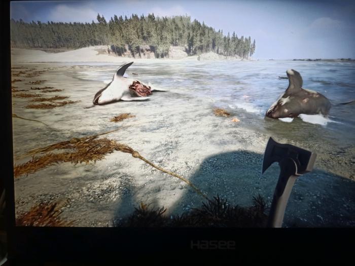 森林之子绳子在哪获得_森林之子绳子在哪获得的