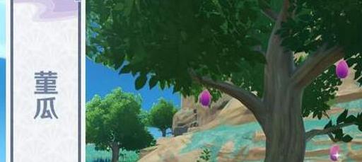 原神稻妻堇瓜刷新分布位置1