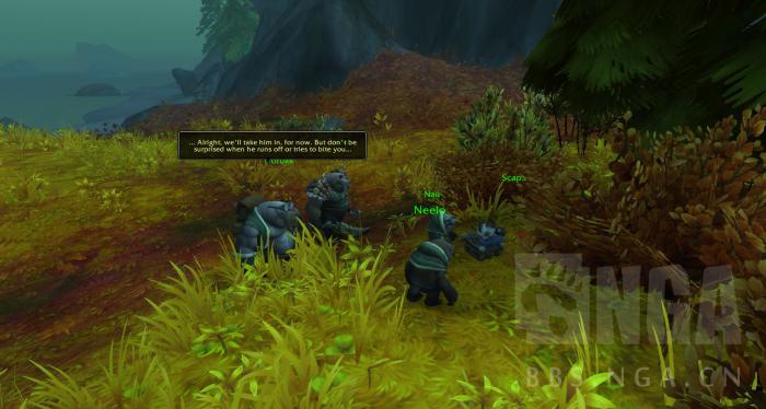 魔兽世界走丢的豺狼人宝宝任务攻略14