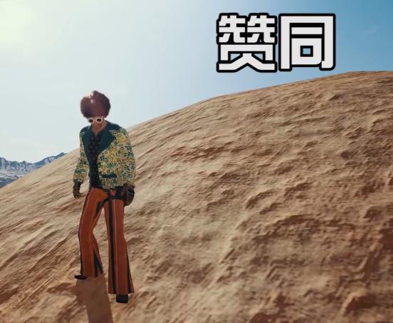 《绝地求生》表情大全3