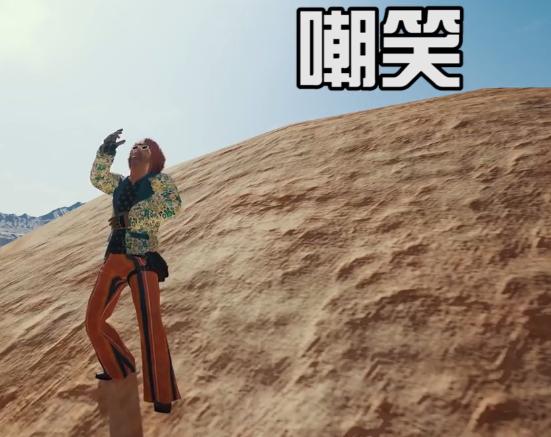 《绝地求生》表情大全5