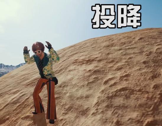 《绝地求生》表情大全6