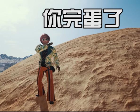 《绝地求生》表情大全8