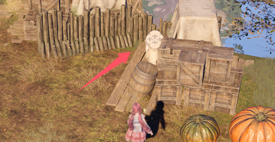 无限暖暖石之冠收集点25