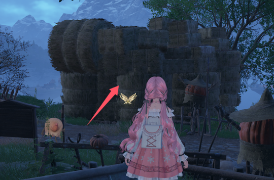 无限暖暖石之冠收集点42