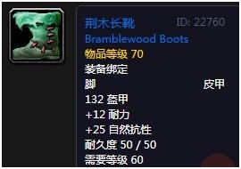 《魔兽世界》怀旧服荆木长靴介绍1