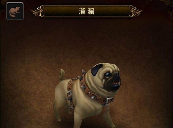 魔兽世界溜溜怎么获得2