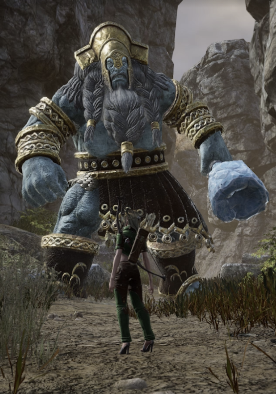 《神佑释放》下级寒霜巨人在哪里1