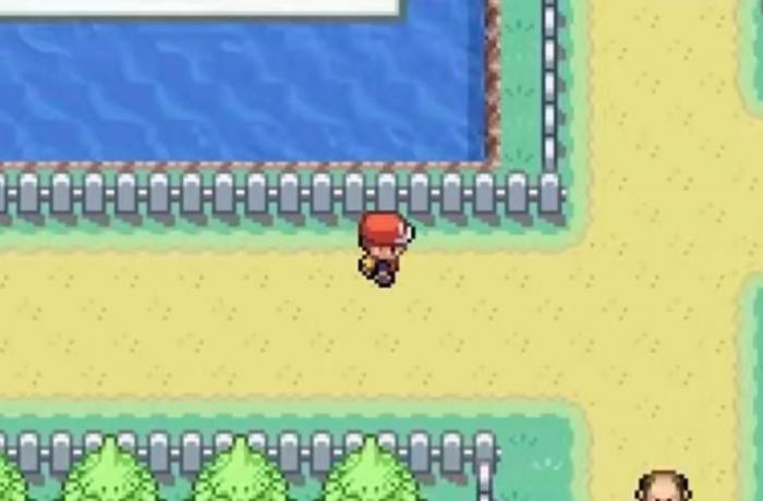 口袋妖怪叶绿在哪刷级比较好1