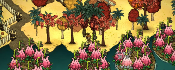 饥荒新版本有哪些高性价比食物2