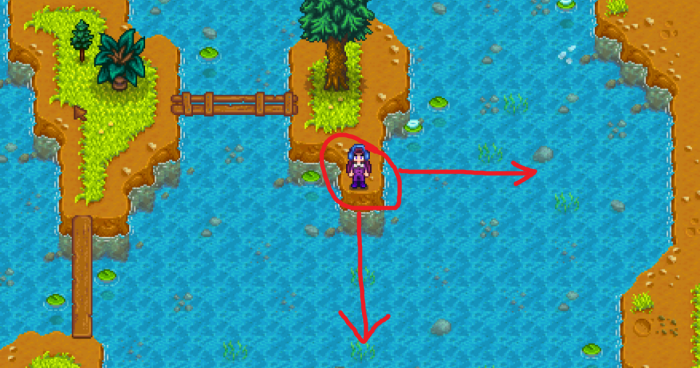 星露谷物语钓到鱼王怎么处理1