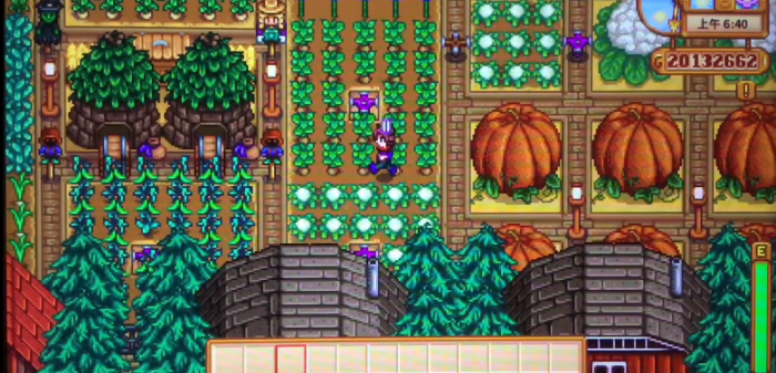 星露谷物语翡翠农场在哪4