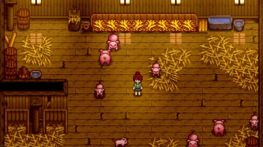 星露谷物语如何让猪怀孕2