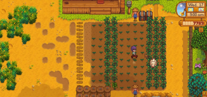 星露谷物语夏天该种什么2