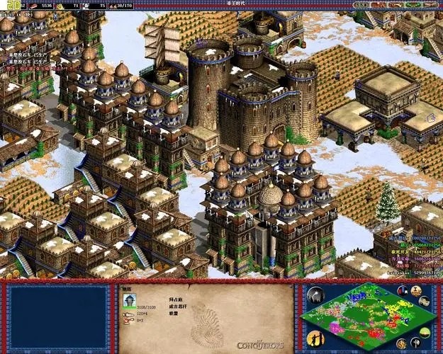 帝国时代2前期强势民族怎么玩3