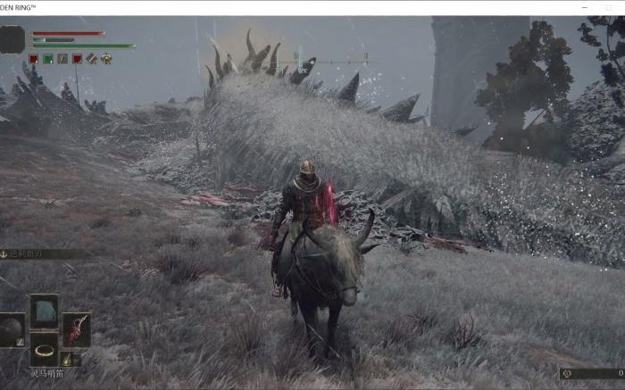 艾尔登法环龙墓白龙在哪1