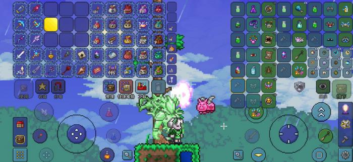 泰拉瑞亚法师毕业用什么饰品2