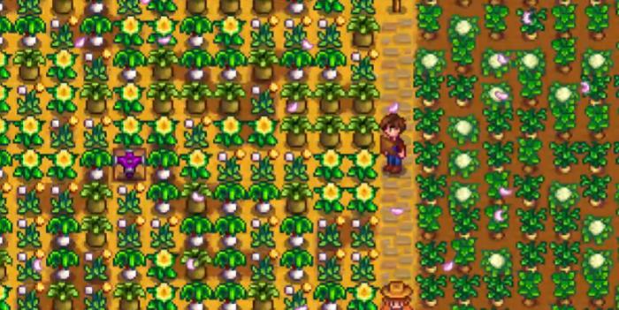 星露谷物语春季野生种子有哪些特性2