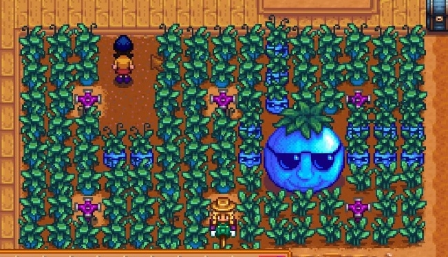 星露谷物语齐豆在哪里获得2