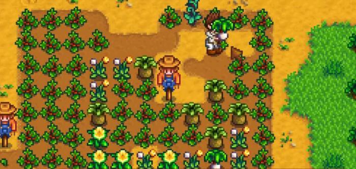 星露谷物语黄水仙怎么获取1