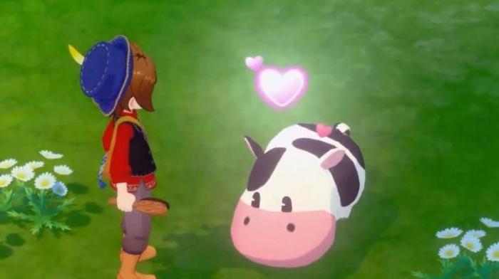 牧场物语袜子有什么用1