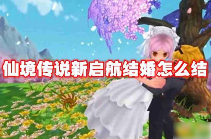 仙境传说新启航结婚_仙境传说结婚前置任务