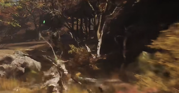 黑神话悟空树珍珠种子在哪4