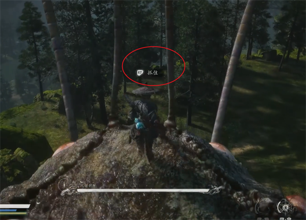 黑神话悟空第六回头目凤翅将军怎么打2