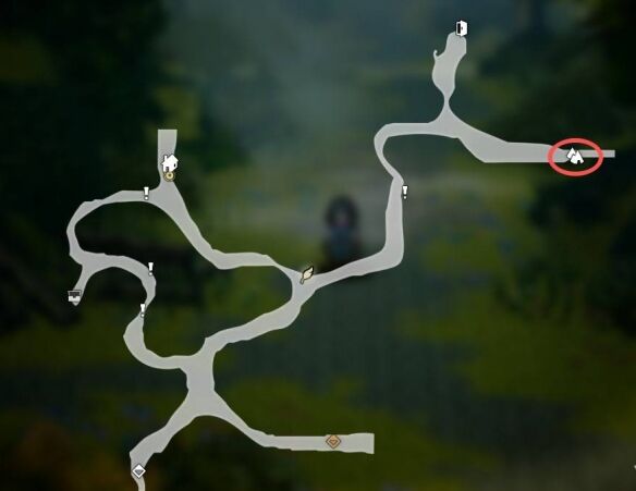 歧路旅人0维舒贝尔全收集物5