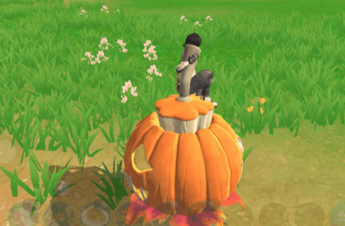 创造与魔法庆典南瓜坐骑能飞吗_创造与魔法南瓜能做什么吃的