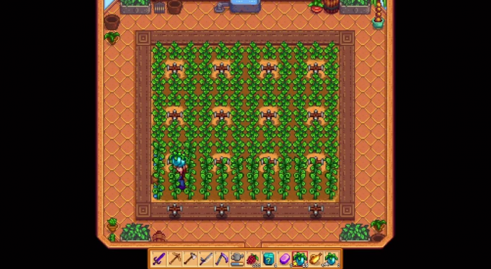 星露谷物语温室种什么_星露谷物语温室种什么树