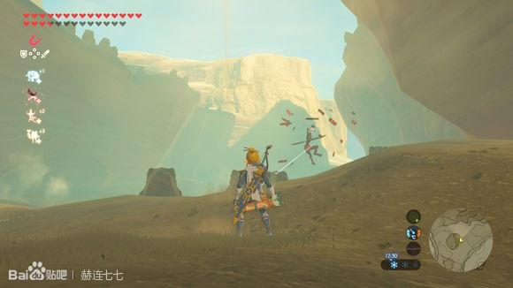 塞尔达多发弓哪儿刷28