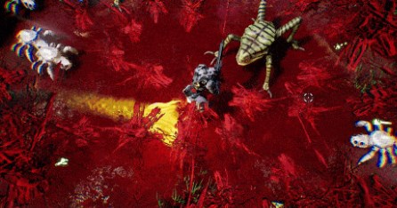 贪婪大地辅助装备怎么融合1