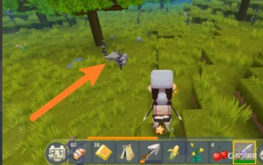 迷你世界雪兔怎么驯服?1