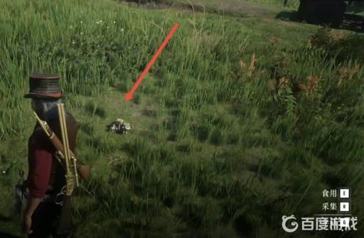 荒野大镖客2伞菇分布在哪?4