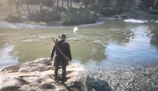 荒野大镖客2疯狂的教士有什么用?2