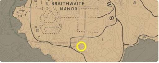 荒野大镖客2獾必刷位置在哪?4