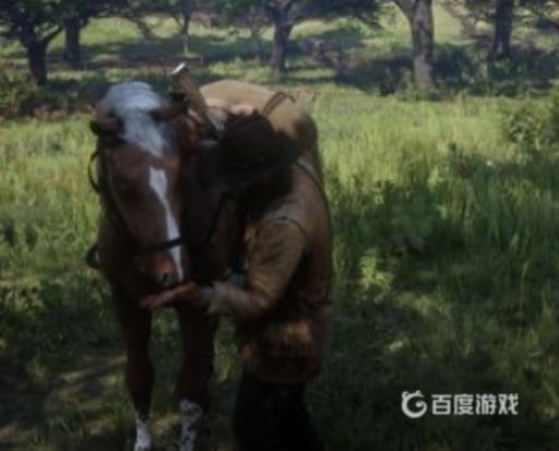 荒野大镖客2怎么喂马?4