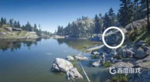 荒野大镖客2雕在哪里?4