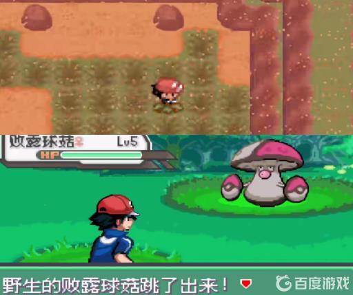 宝可梦究极绿宝石败露球菇在哪?2