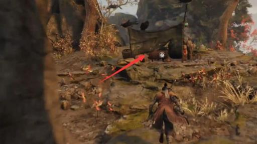 只狼柿子在哪里刷?4