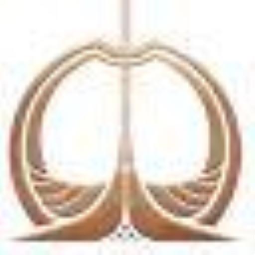 如何获得奖杯-家的感觉?1