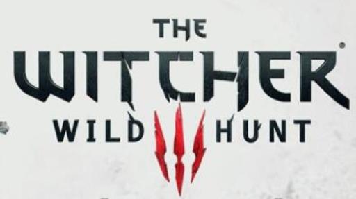 巫师三雷索支线怎么选?_巫师3雷索任务地点