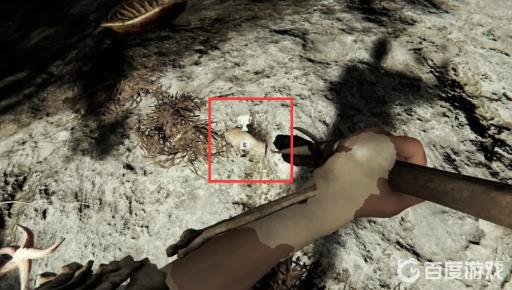 forest怎么丢东西?3