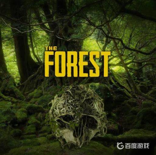 森林芦荟在哪?_森林芦荟代码